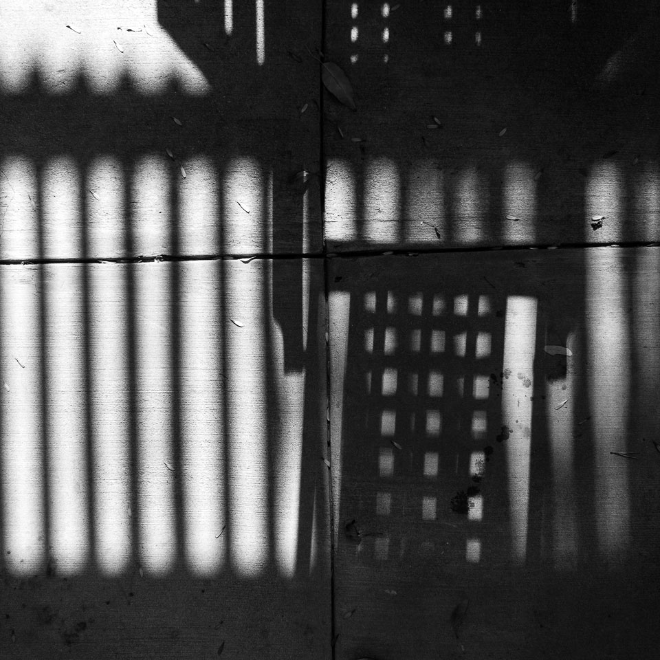 Diurnal Affair by David Bernie