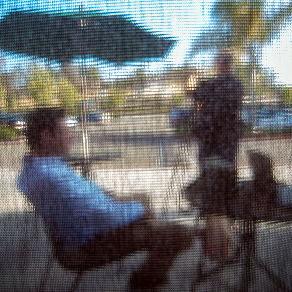 Diurnal Affair by David Bernie