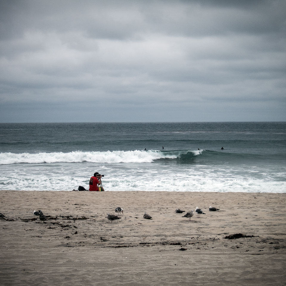 Diurnal Affair by David Bernie