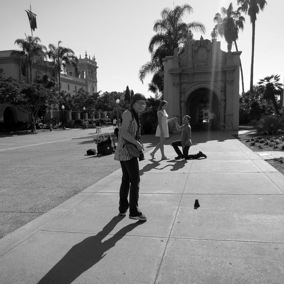 Diurnal Affair by David Bernie