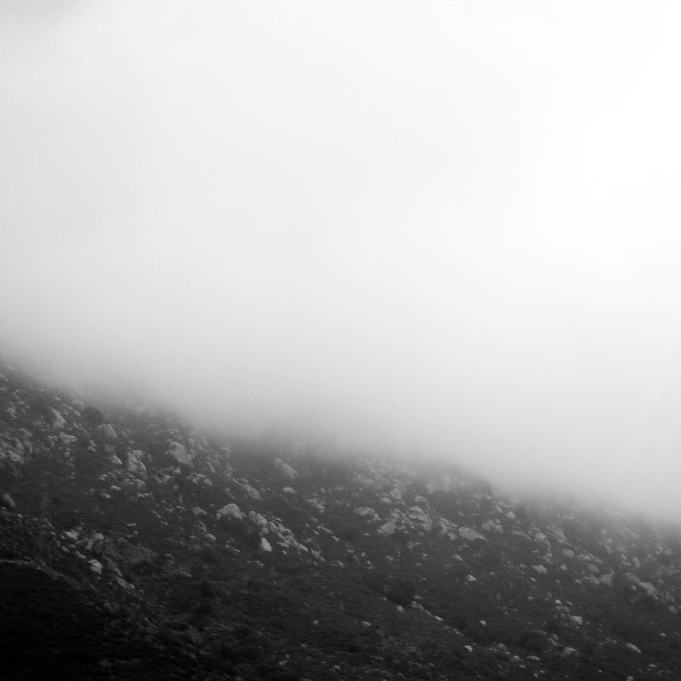 Diurnal Affair by David Bernie