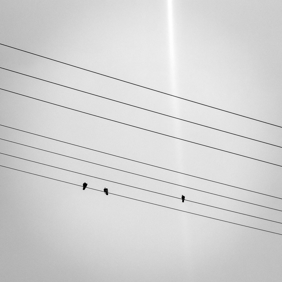 Diurnal Affair by David Bernie