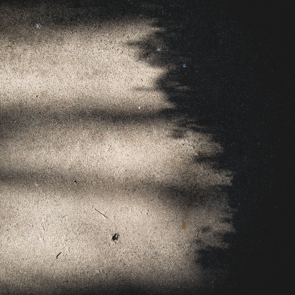 Diurnal Affair by David Bernie