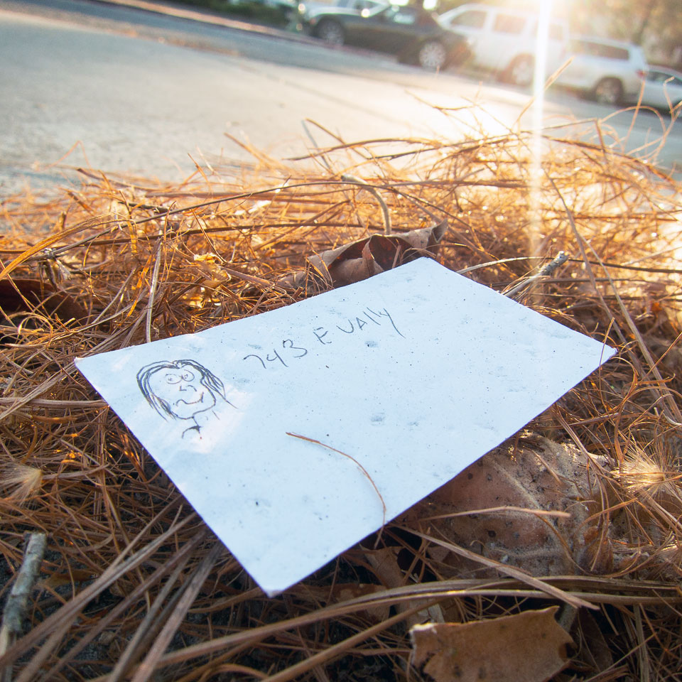 Diurnal Affair by David Bernie