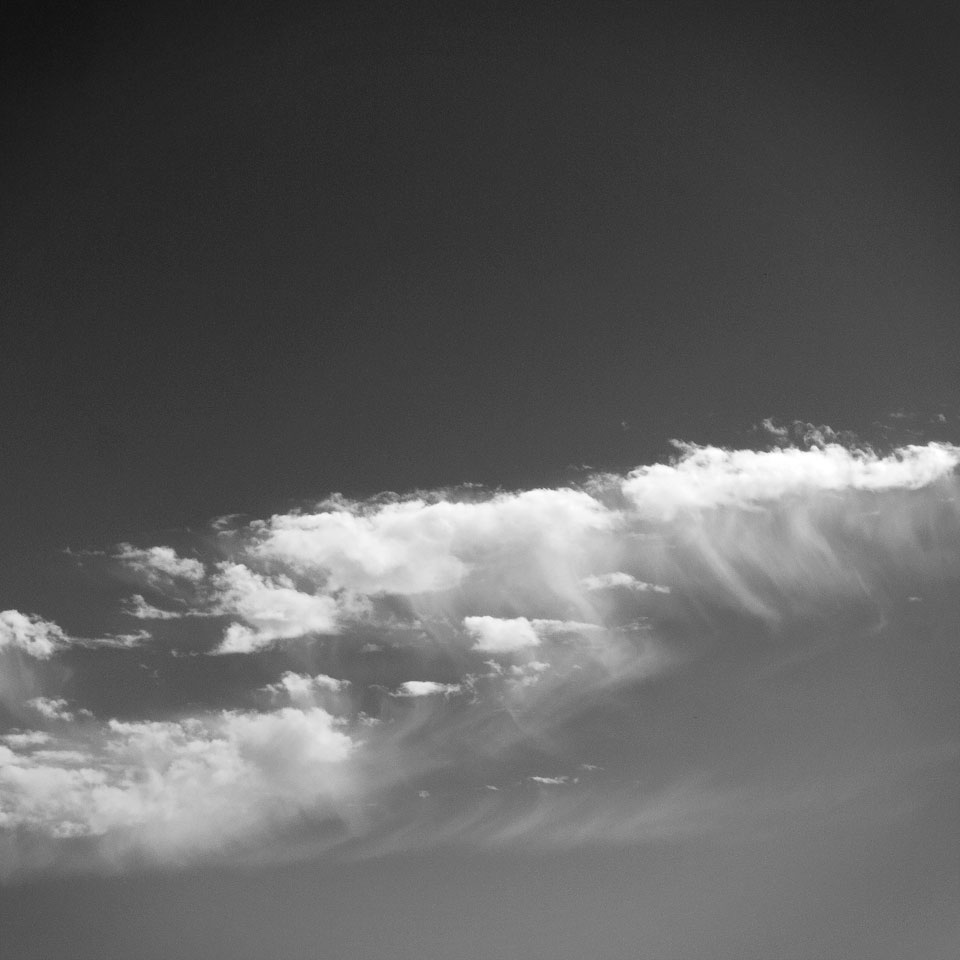 Diurnal Affair by David Bernie