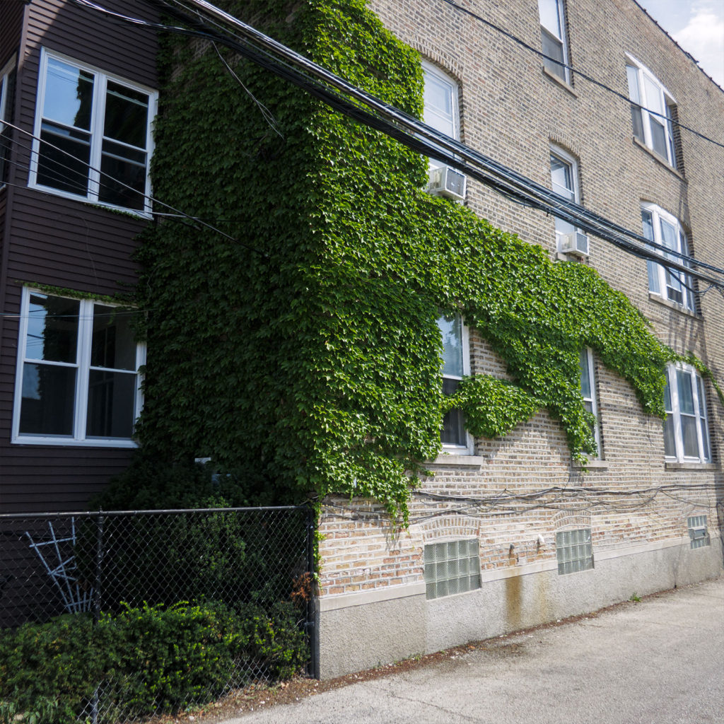 David Bernie Photography Digital Photos Diurnal Affair Daily Project Canon S110