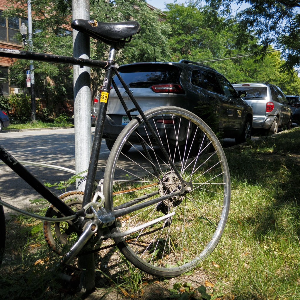 David Bernie Photography Digital Photos Diurnal Affair Daily Project Canon S110