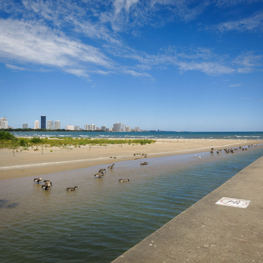 David Bernie Photography Digital Photos Diurnal Affair Daily Project Canon S110