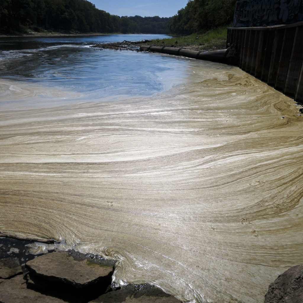 David Bernie Photography Digital Photos Diurnal Affair Daily Project Canon S110