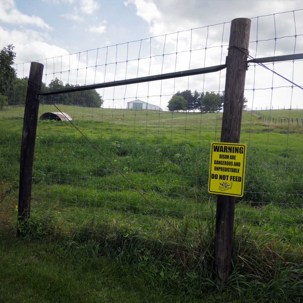 David Bernie Photography Digital Photos Diurnal Affair Daily Project Canon S110