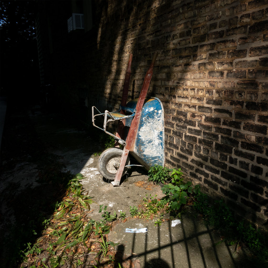 David Bernie Photography Digital Photos Diurnal Affair Daily Project Canon S110