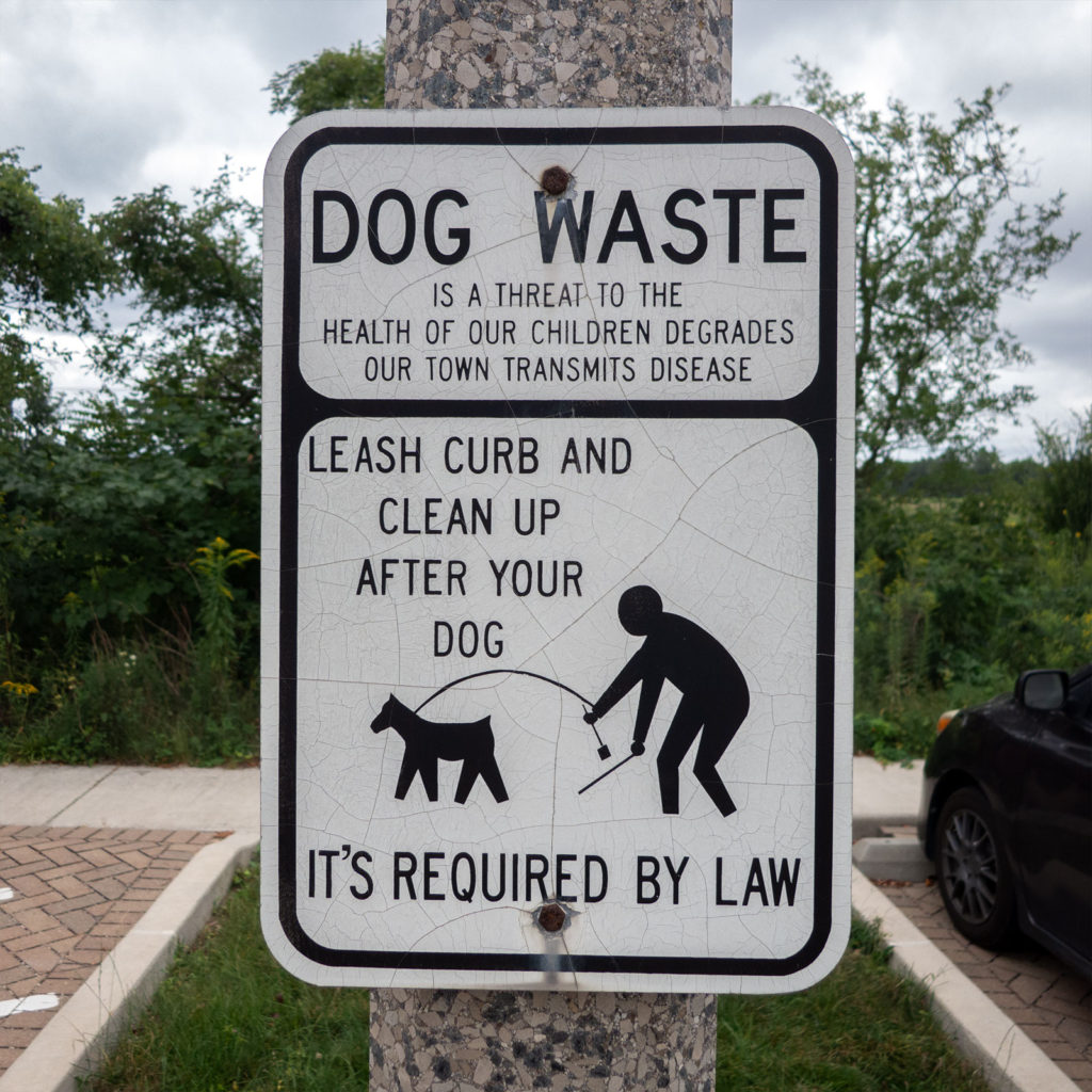 David Bernie Photography Digital Photos Diurnal Affair Daily Project Canon S110