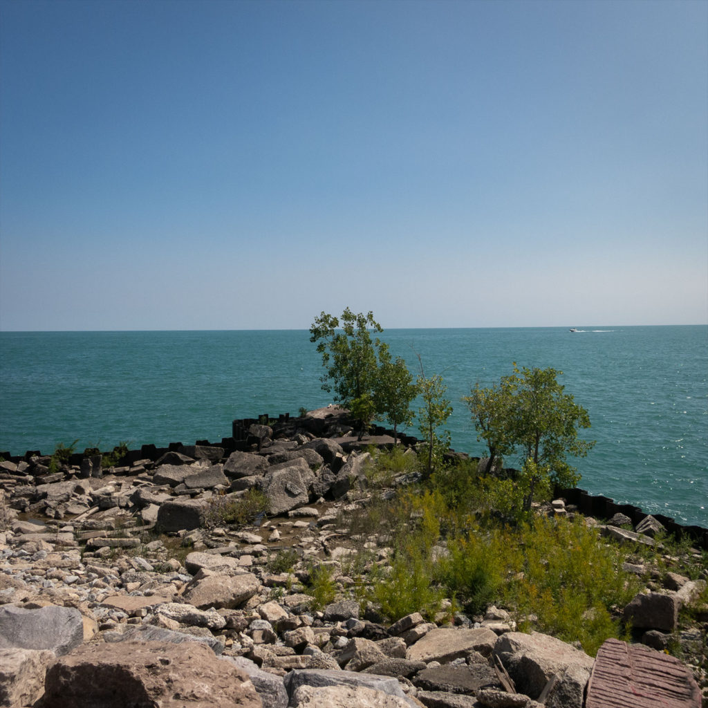 David Bernie Photography Digital Photos Diurnal Affair Daily Project Canon S110